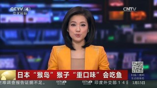 [中国新闻]日本“猴岛”猴子“重口味”会吃鱼