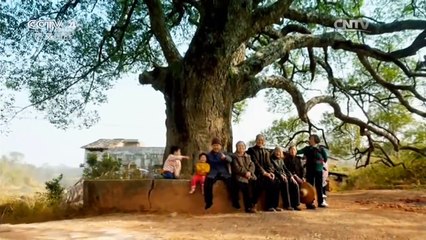 《记住乡愁第二季》 20160114 第十二集 沙溪村——心慈向善