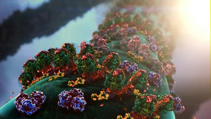 Ciência De Tudo Com Stephen Hawkingv|  O que Nós Somos |T1 EP5