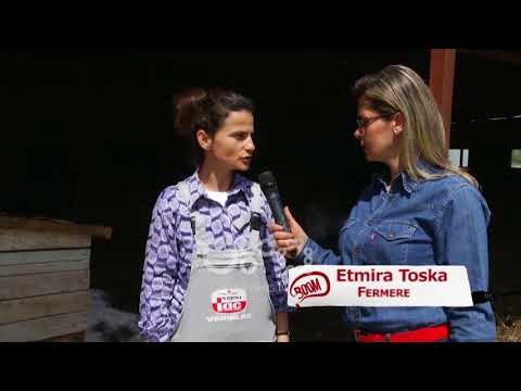 Ora News - Jeta e një vajze fermere: Më mirë traktorin dhe lopët se Tiranën
