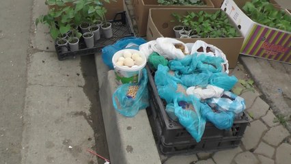 Tregtaret ne Kamez tregtojne ne kushte skandaloze