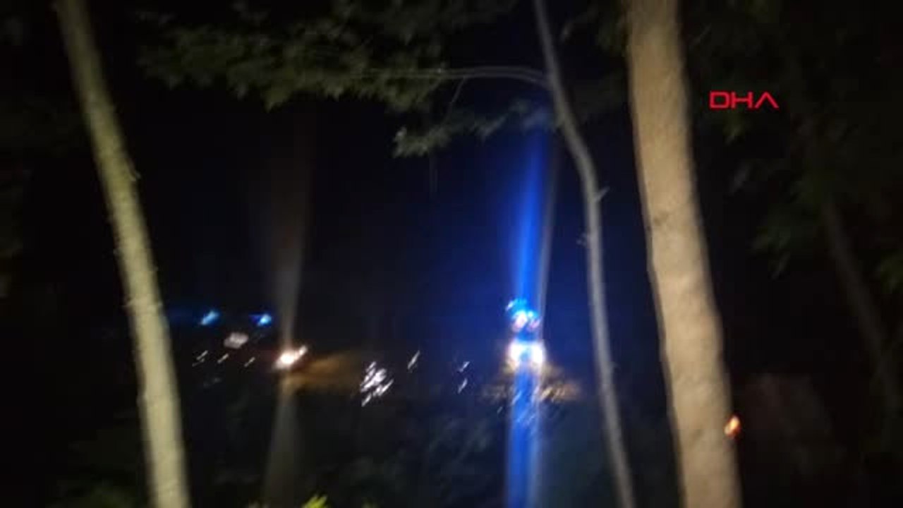 Sakarya - Tomruk Yüklü Tır Devrildi, Sürücü 3 Saatte Kurtarıldı