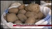 Kukës, mijëra ton patate në gropë - News, Lajme - Vizion Plus