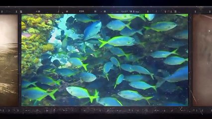 E.M. - Legado de un último vuelo- parte 1_clip2