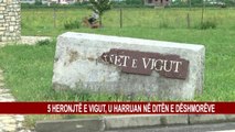 5 HERONJTË E VIGUT, U HARRUAN NË DITËN E DËSHMORËVE