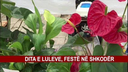 DITA E LULEVE, FESTË NË SHKODËR