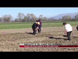 Mbështetje me fonde për fermerët - News, Lajme - Vizion Plus
