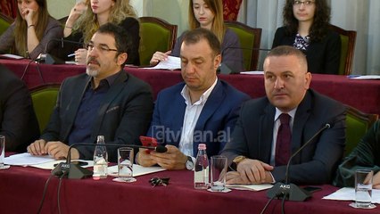 Ruci: Per deputetet holandeze, Shqiperia vend i krimit dhe trafikut