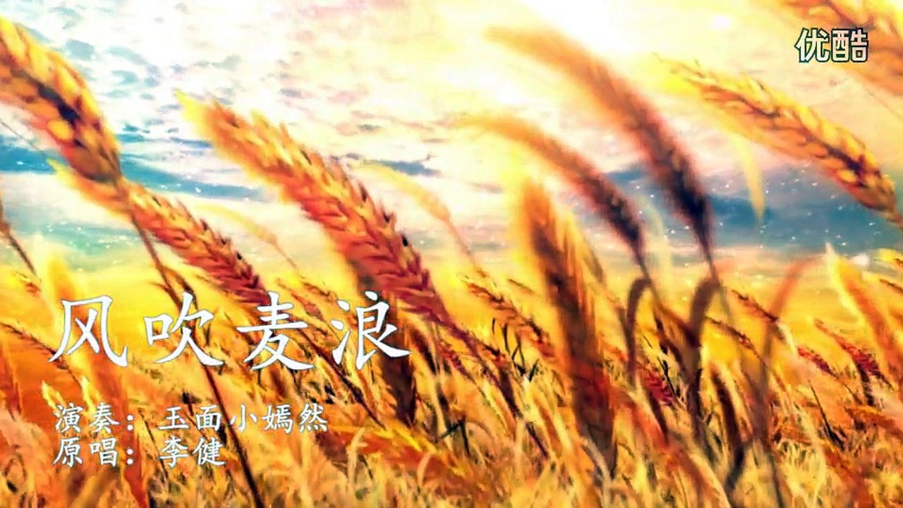 [牛人]风吹麦浪 Guzheng Li Jian
