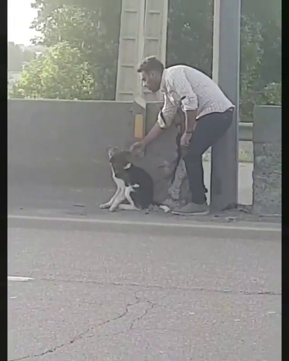 You are a Hero.
