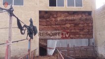 Report TV - Zbulohet laboratori gjigant i drogës në Fier, sekuestrohet gomonia 12 m e gjatë
