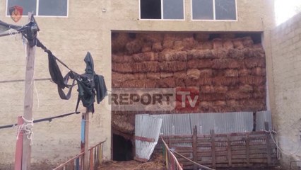 Report TV - Zbulohet laboratori gjigant i drogës në Fier, sekuestrohet gomonia 12 m e gjatë