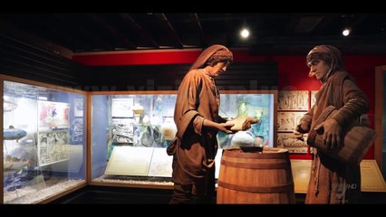 Next - Travel -10 Maj 2018 - Show - Vizion Plus