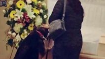 Grieving Dog Attends Owner’s Funeral, Leaves Whole Room In Tears After She Sees The Casket