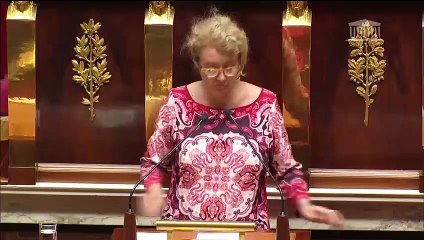 2ème séance : Lutte contre les violences sexuelles et sexistes (suite) - Lundi 14 mai 2018