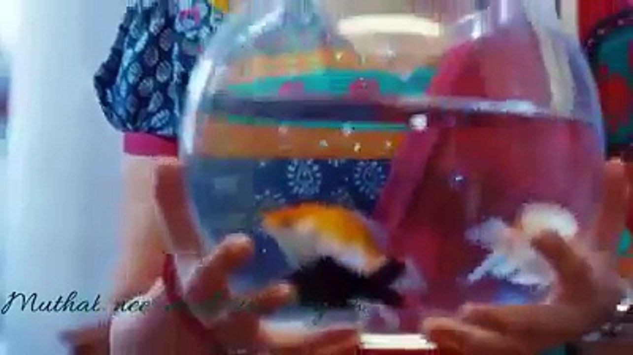 Tamil whatsapp status