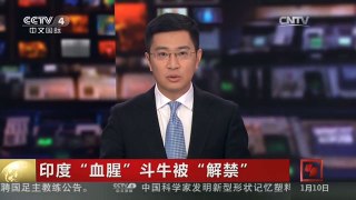 [中国新闻]印度“血腥”斗牛被“解禁”