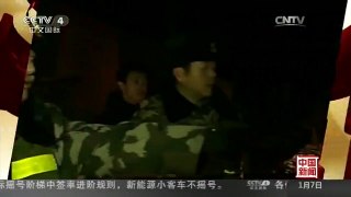 [中国新闻]吉林珲春：东北豹进村觅食 终被放归山林