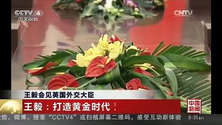 [中国新闻]王毅会见英国外交大臣 王毅：打造黄金时代 对接国家战略