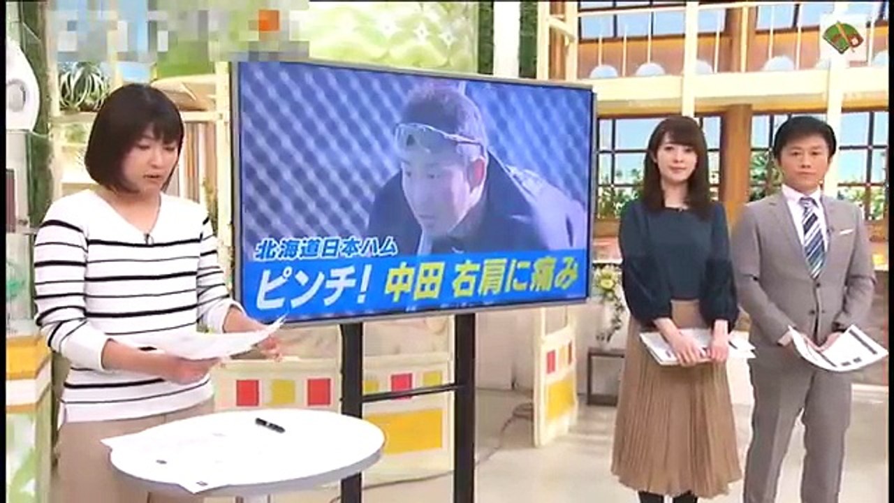 日本ハム 中田翔 右肩痛！別メニュー調整 2018.2.7 日本ハムファイターズ情報 プロ野球