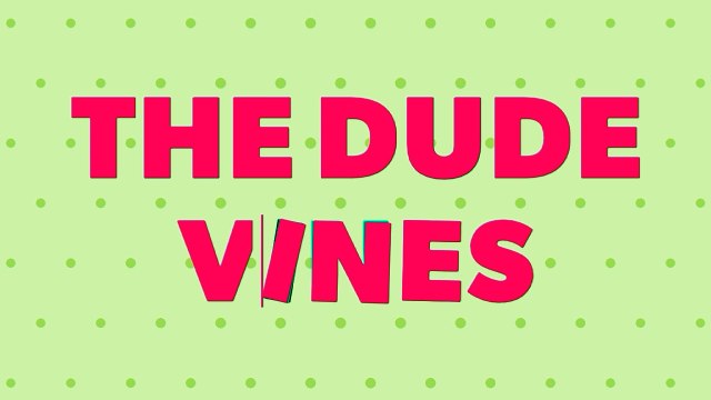 snapchat story Remix Version ft Bilal Saeed ft Romee Khan