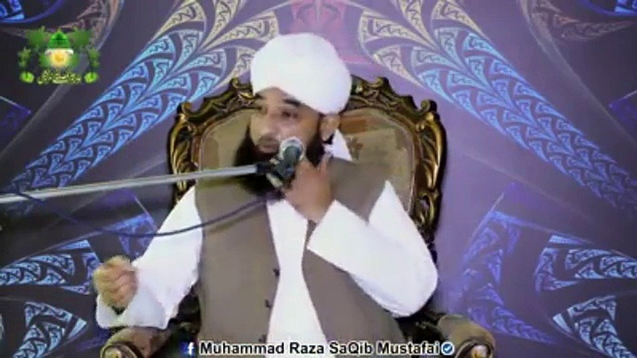 Muhammad Raza Saqib Mustafai (381)