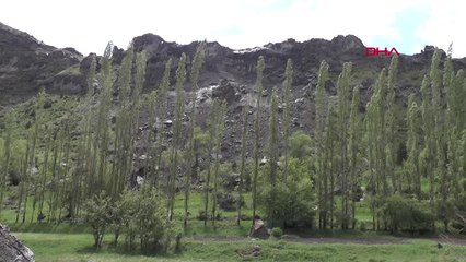 Erzurum-Dağdan Kopan Kayalar Direkleri Devirdi, Bahçeye Zarar Verdi-Hd