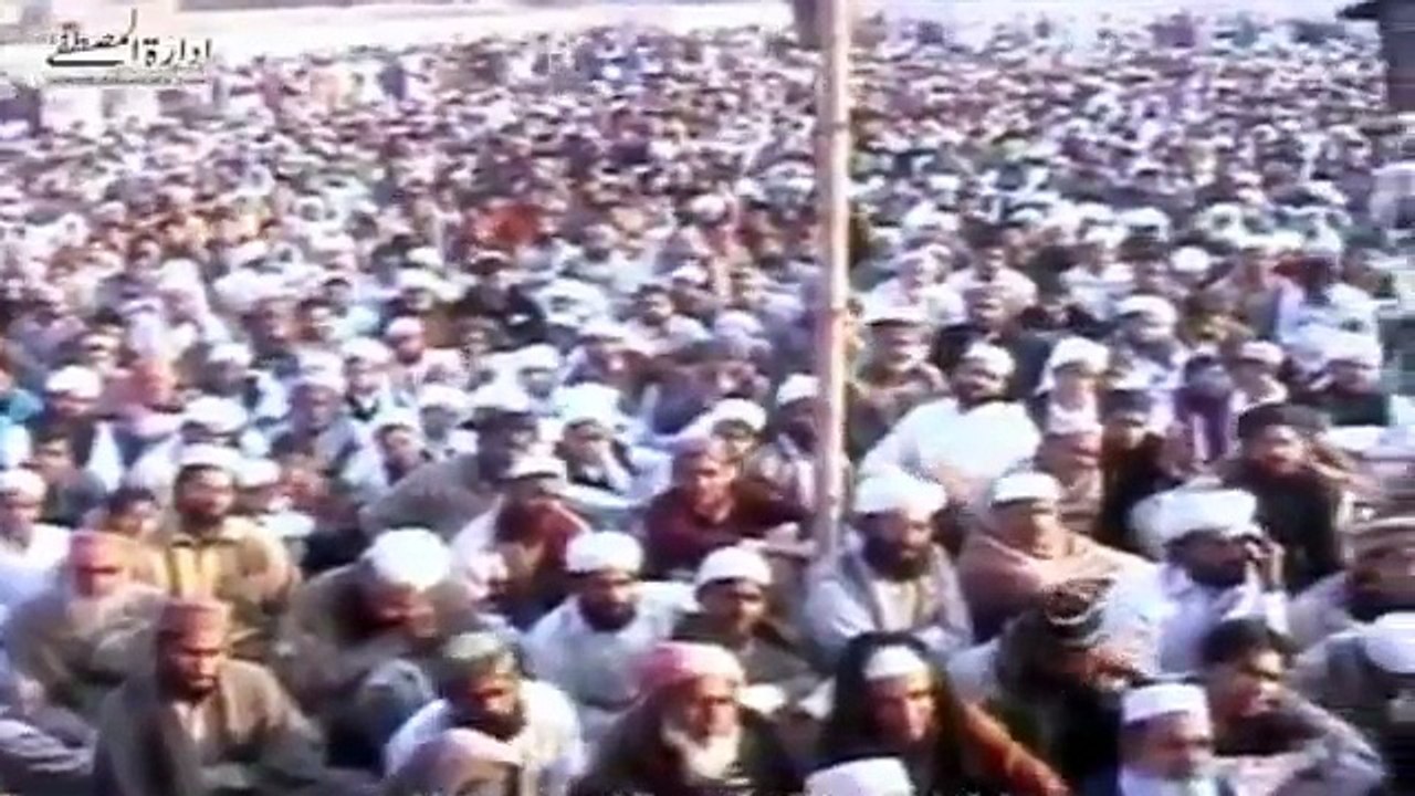 Muhammad Raza Saqib Mustafai (395)