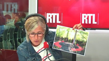 Laissez-vous tenter du 15 mai 2018