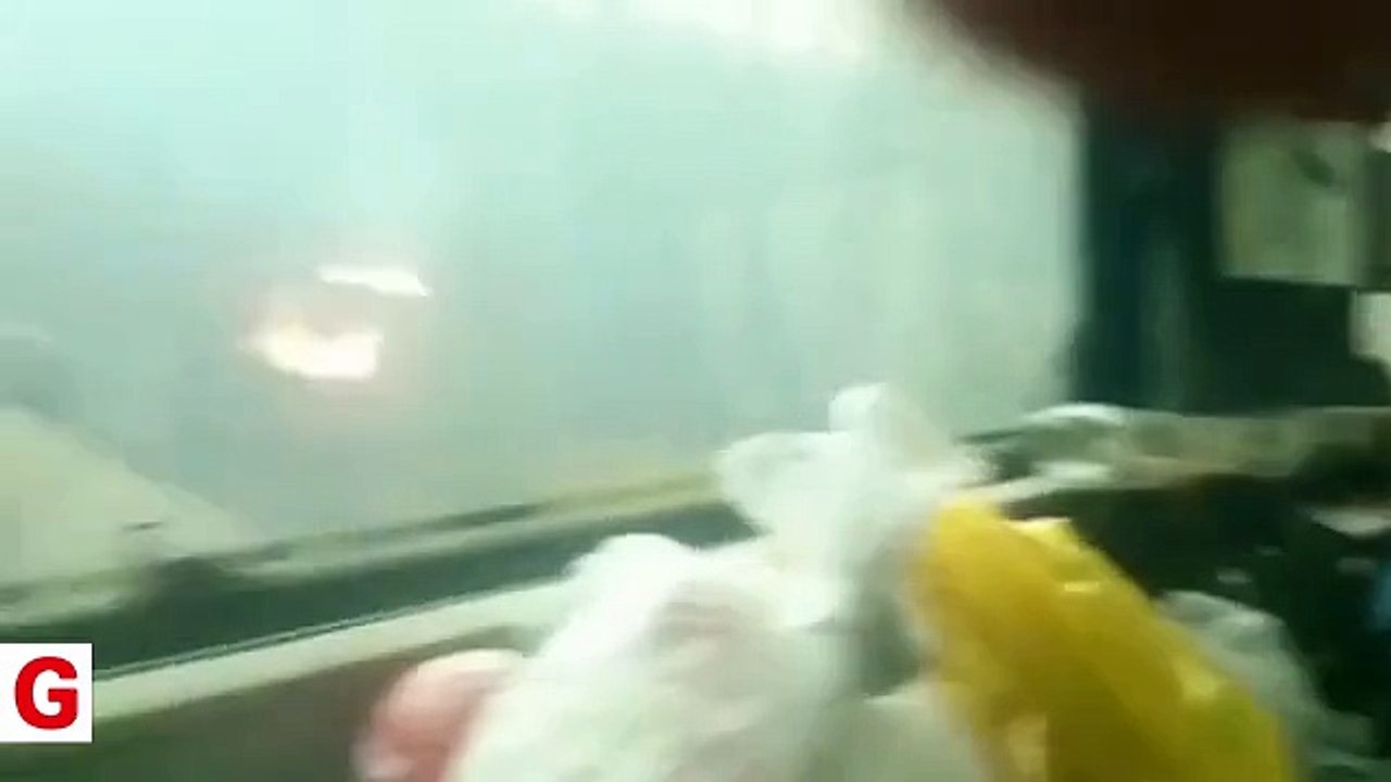 Rusya'da alevlerin arasından geçen tren