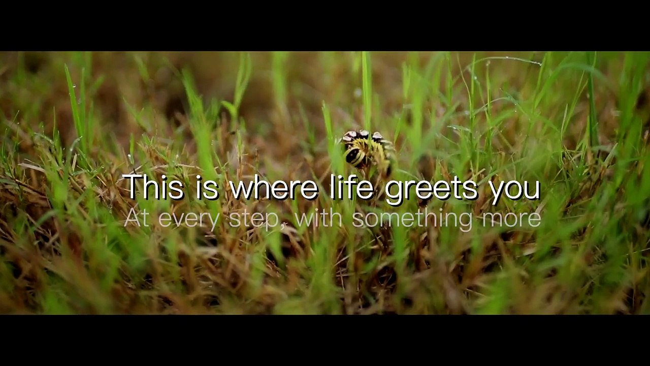 Luxury Villas and Residential NA Plots near Khed Shivapur Pune