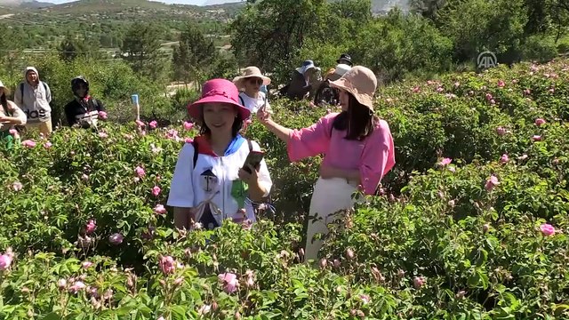 Yabancı turistlerin yeni gözdesi: Isparta gül bahçeleri - ISPARTA