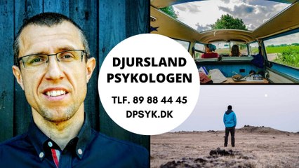 Psykolog Rønde · Tag hånd om din trivsel og håndtering af stress ·  Djursland-psykologen