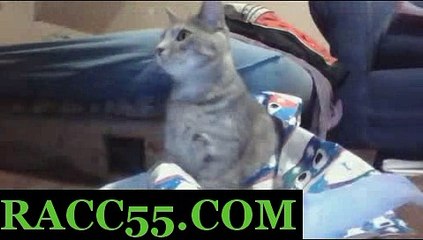 에이스경마 , 오늘의경마예상 , RACC55 . CoM 에이스경마 에이스경마 , 오늘의경마예상 , RACC55 . CoM 에이스경마 , 오늘의경마예상 , RACC55 . CoM▣에이스경마 , 오늘의경마예상 , RACC55 . CoM▣에이스경마 , 오늘의경마예상 , RACC55 . CoM▣에이스경마 , 오늘의경마예상 , RACC55 . CoM▣에이스경마 , 오늘의경마예상 , RACC55 . CoM▣에이스경마 , 오늘의경마예상 , RACC55 . CoM▣