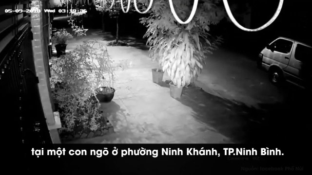 Lái xe ô tô đi...nhổ trộm cây hoa hồng, 2 thanh niên gặp kết đắng bị CĐM chỉ trích dữ dội