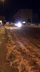 Bari: "inseguimento" tra cinghiali e Vigili del Fuoco