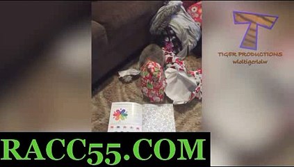 일본 경마사이트 , 국내경마사이트 , RACC55 . CoM 온라인경정