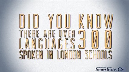 The Bad Side of Japanese to French Translator