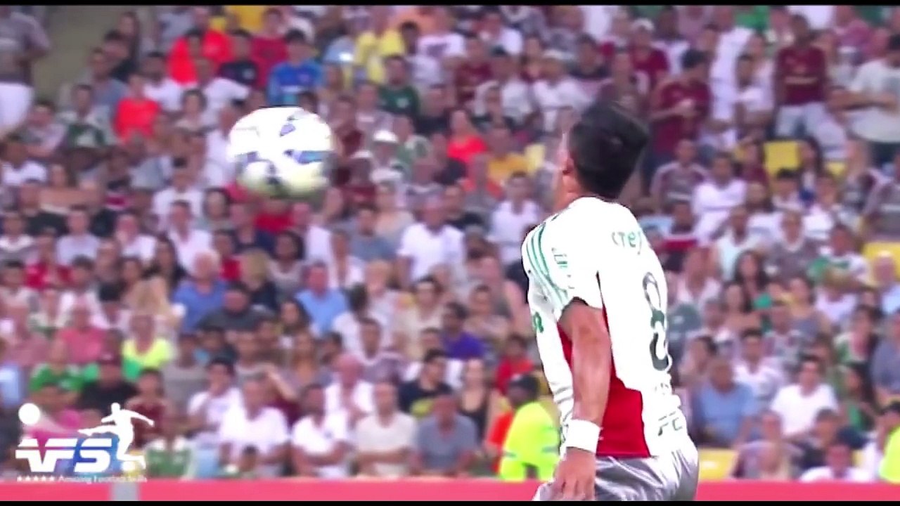 Football Comedy - Fails, Animals, Funny Skills, Bloopers