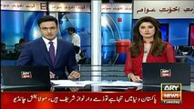 Pervaiz Rasheed shouldn't have been dismissed over Dawn Leaks - Maryam Nawaz