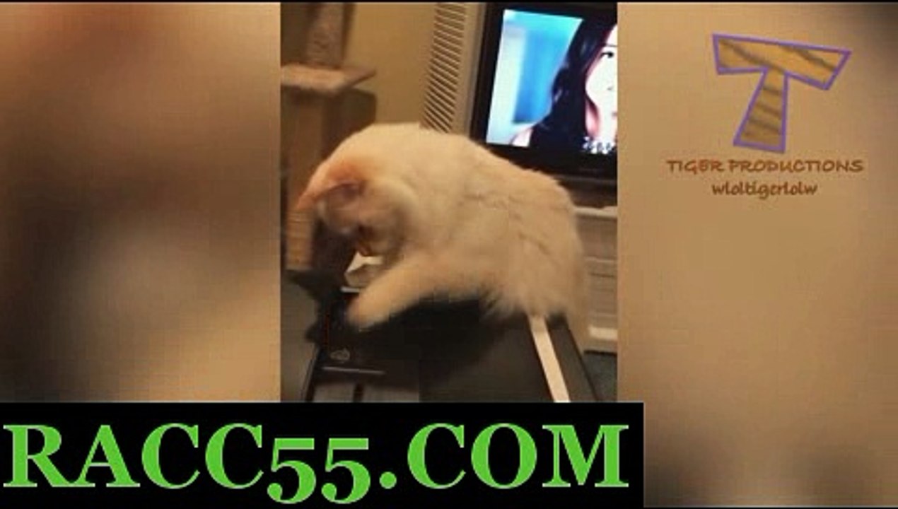 일본경마사이트 , 국내경마사이트 , RACC55 . CoM 일본경마 일본경마사이트 , 국내경마사이트 , RACC55 . CoM 일본경마사이트 , 국내경마사이트 , RACC55 . CoMベ일본경마사이트 , 국내경마사이트 , RACC55 . CoMベ일본경마사이트 , 국내경마사이트 , RACC55 . CoMベ일본경마사이트 , 국내경마사이트 , RACC55 . CoMベ일본경마사이트 , 국내경마사이트 , RACC55 . CoMベ일본경마사이트 , 국내경마사이트 ,