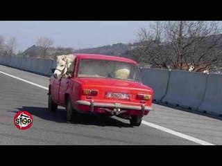 Hitparade i absurdit shqiptar 14 maj 2018