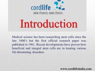 What are String Body Stem Cells?