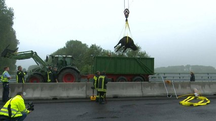 Almanya'da mandalar trafiği felç etti