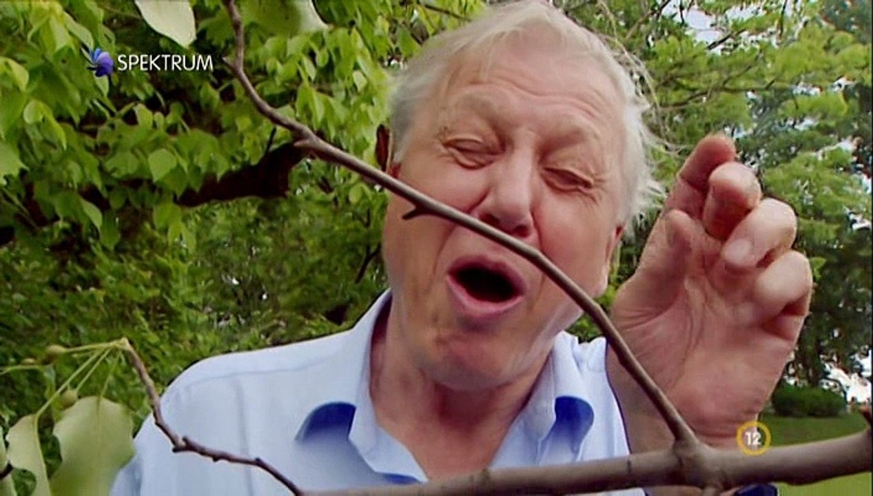 Attenborough - 60 Év A Vadonban S01e02