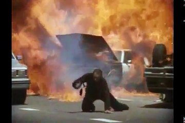 VINGANÇA SANGRENTA GARY DANIELS DUBLADO part 3/3