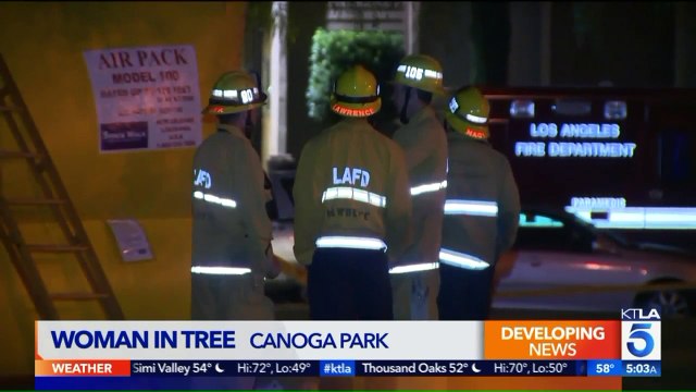 Firefighters Attempt to Rescue 'Uncooperative' Woman from Tree