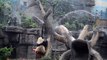 A panda in the Beijing Zoo gets a shower to cool off from the heat of early summer as temperatures soar to 34 degrees on May 14, 2018. Its enclosure is also coo