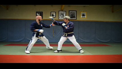 serie 2 segment 1 (Karaté contact)