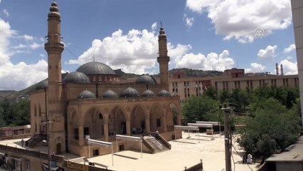 Şehit Filistinliler için gıyabi cenaze namazı - MARDİN